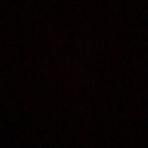 Meet your Posher, Bella